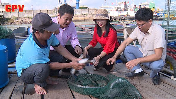 Nguồn vốn vay tạo việc làm: "Chìa khóa" mở cửa thoát nghèo cho người dân