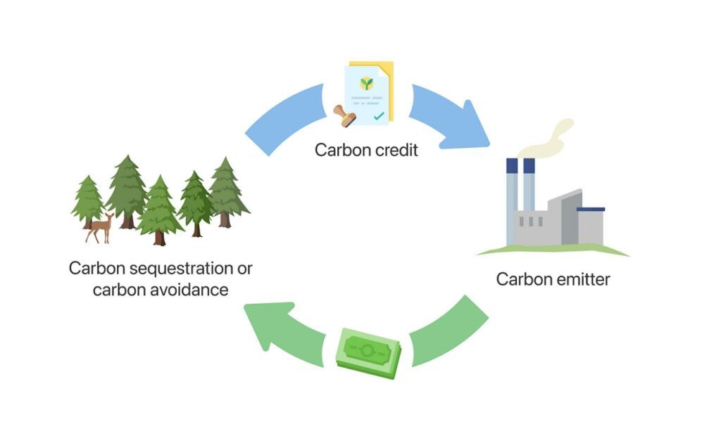 Tăng cường công tác quản lý tín chỉ carbon