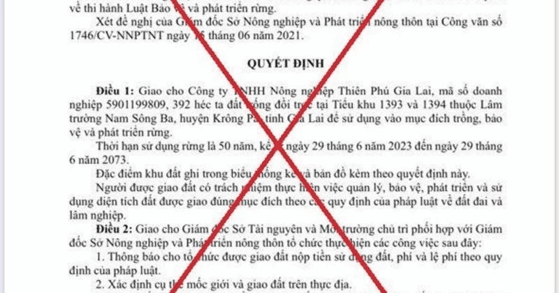 Gia Lai: Văn bản cấp gần 400ha rừng cho doanh nghiệp là giả mạo