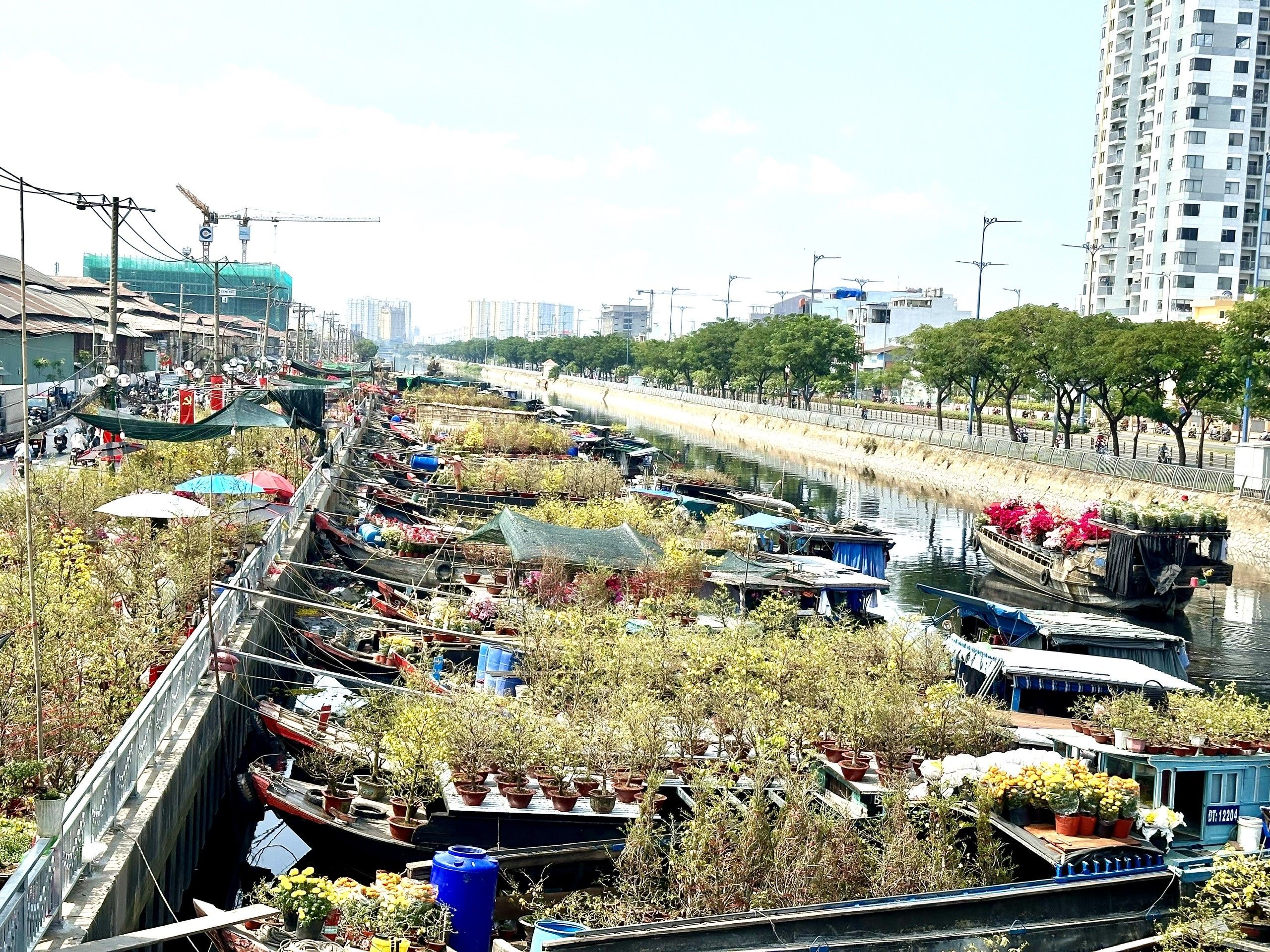 TP Hồ Chí Minh: Nhộn nhịp chợ hoa xuân Trên bến dưới thuyền