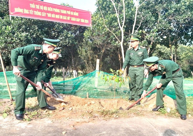 Bộ đội Biên phòng Đà Nẵng tích cực hưởng ứng "Tết trồng cây" 