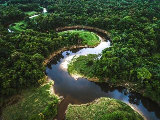 Phê duyệt Đề án phát triển giá trị đa dụng của hệ sinh thái rừng