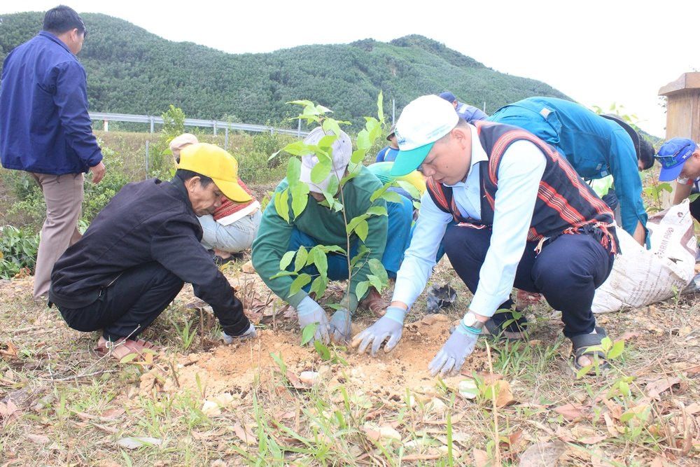 Đà Nẵng ra quân trồng rừng gỗ lớn chống xói mòn, sạt lở đất