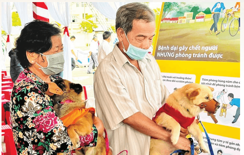 Đắk Lắk khẩn trương thực hiện các biện pháp phòng, chống bệnh dại trên động vật