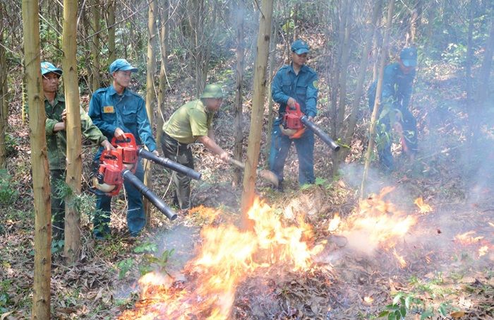 Khánh Hòa: Trên 61.000 ha rừng có nguy cơ cháy cao