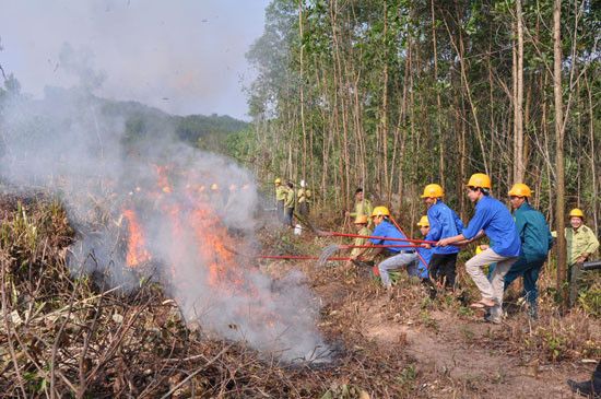 Mạnh tay với "giặc lửa" để giữ rừng trong mùa khô