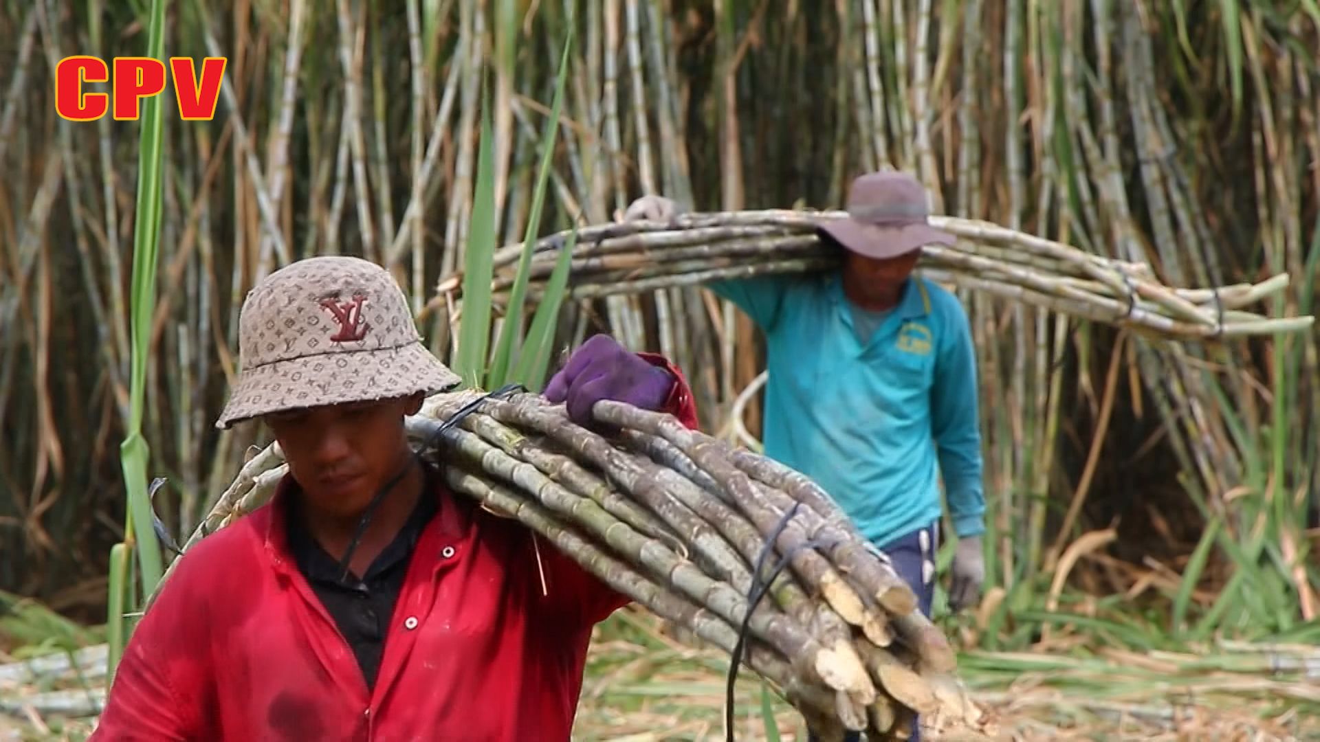 BẢN TIN THỜI SỰ NGÀY 28/3/2024