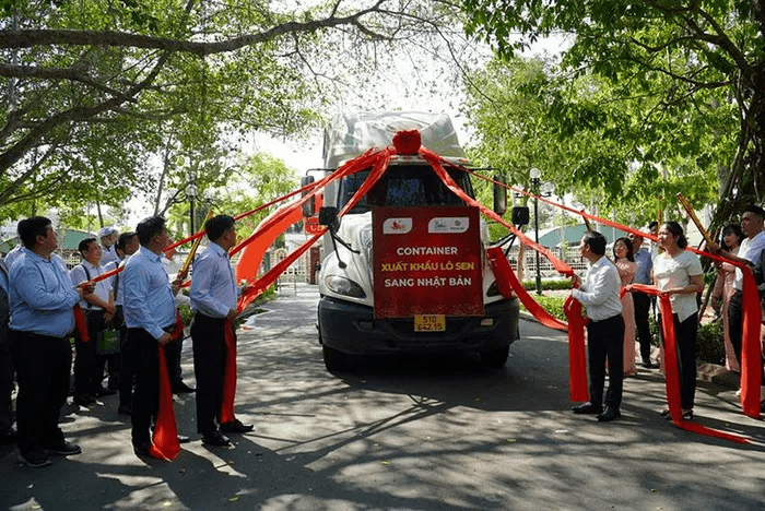 Đồng Tháp: Lần đầu tiên xuất khẩu 15 tấn củ sen sang Nhật Bản