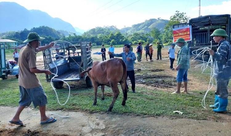 Thái Nguyên: Diện mạo nông thôn miền núi thay da đổi thịt