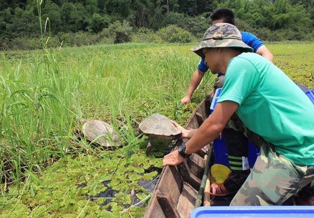 Những cán bộ miệt mài góp sức, bảo tồn nguồn gene quý