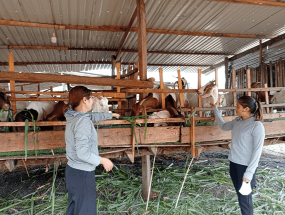 Lộc Ninh: Hiệu quả vốn tín dụng chính sách ủy thác thông qua Hội Liên hiệp Phụ nữ huyện