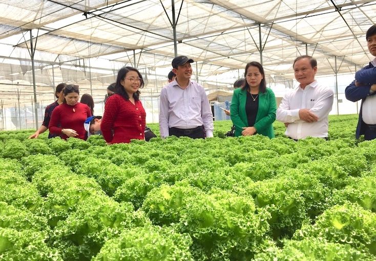 Lâm Đồng: Phát triển Kinh tế nông nghiệp theo hướng toàn diện, bền vững và hiện đại