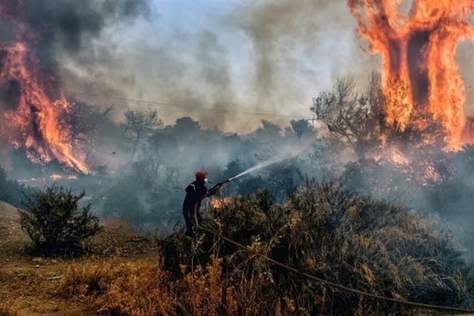 Hy Lạp bắt giữ nhiều người đốt pháo hoa gây cháy rừng