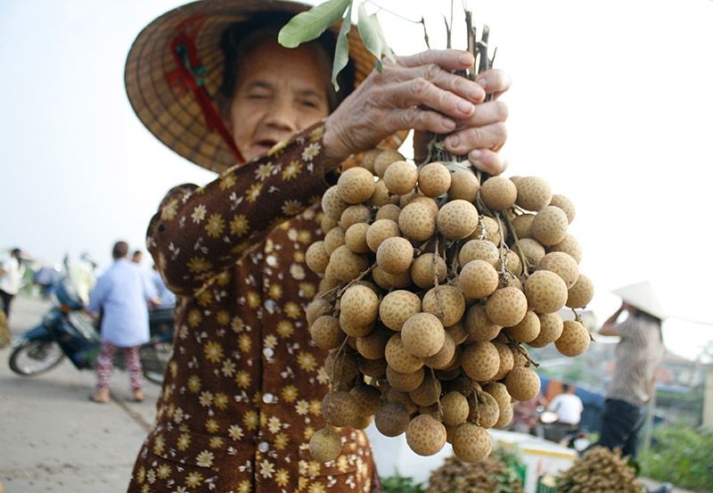 Khám phá du lịch nông nghiệp, làng nghề Hưng Yên