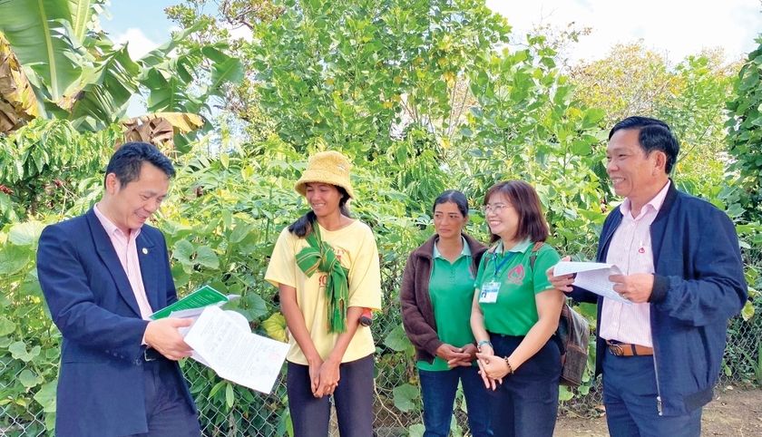 “Trái ngọt” từ đồng vốn nhân văn trên biên giới Ia Grai