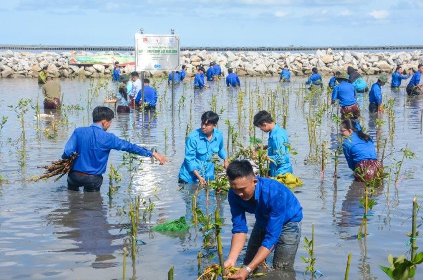 Chương trình “Hành động vì một Việt Nam xanh” trồng thêm 120.000 cây xanh tại Cà Mau