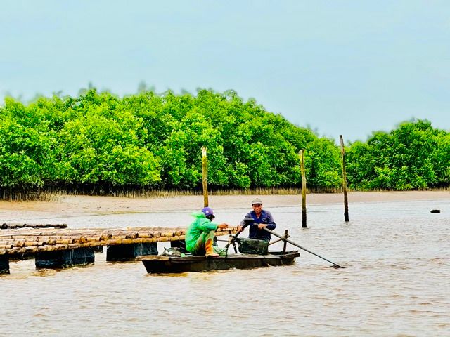 Xác lập vị trí Khu bảo tồn thiên nhiên đất ngập nước Tiền Hải