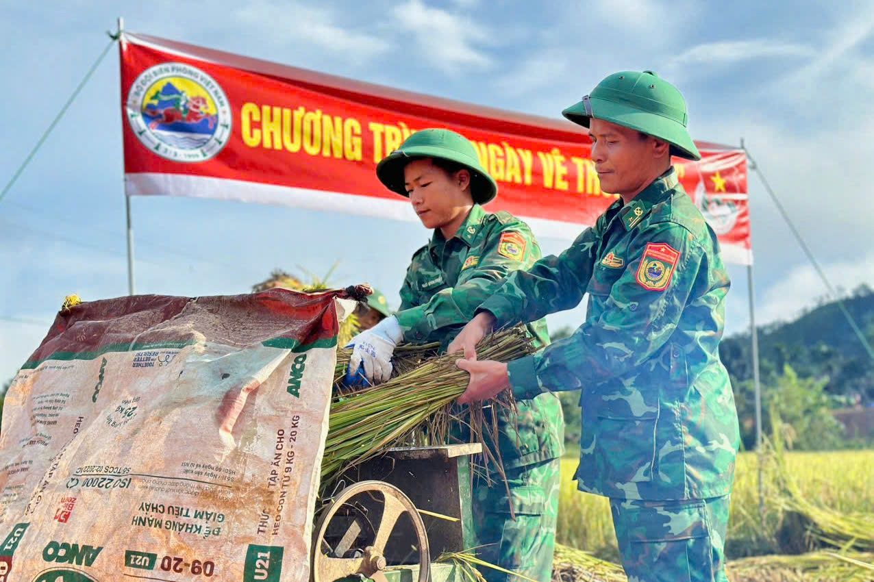 Thừa Thiên - Huế: Bộ đội Biên phòng giúp người dân biên giới thu hoạch lúa