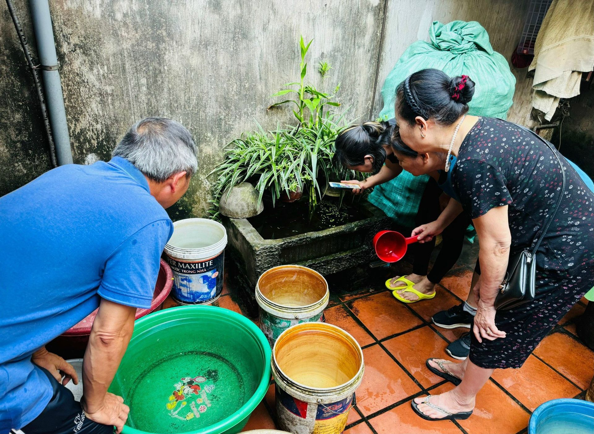 Hà Nội: Còn 30 ổ dịch sốt xuất huyết đang hoạt động