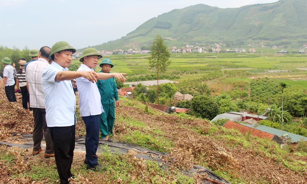 Chủ tịch UBND tỉnh Lê Ánh Dương kiểm tra điểm sạt lở tại thôn Dốc Lỉnh, xã Nghĩa Phương (Lục Nam)