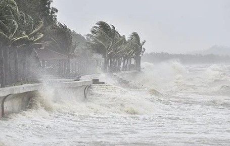 Kỹ năng ứng phó với bão