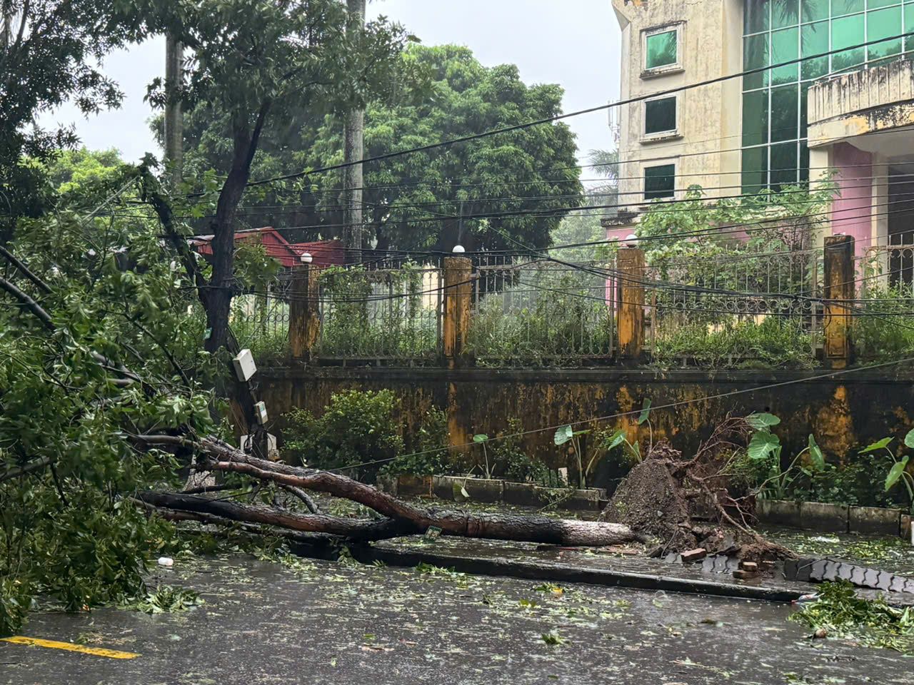 Gió bão mạnh hơn trong tối nay, Hà Nội kêu gọi dân không ra đường