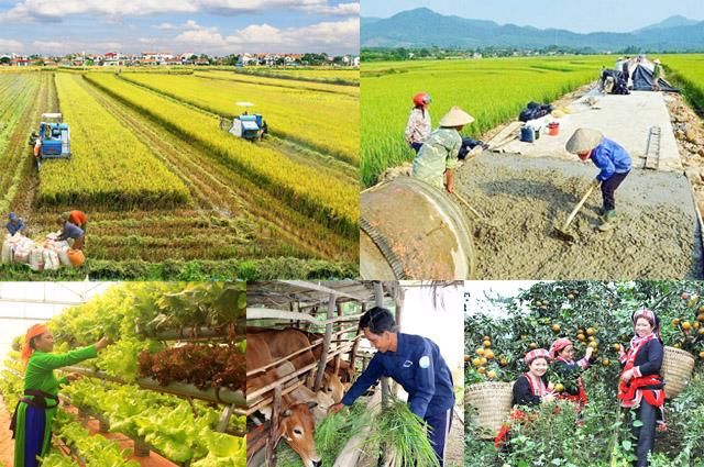 Điều chỉnh chỉ tiêu, mục tiêu, nhiệm vụ giảm tỷ lệ hộ nghèo hằng năm giai đoạn 2022-2025 của 5 địa phương