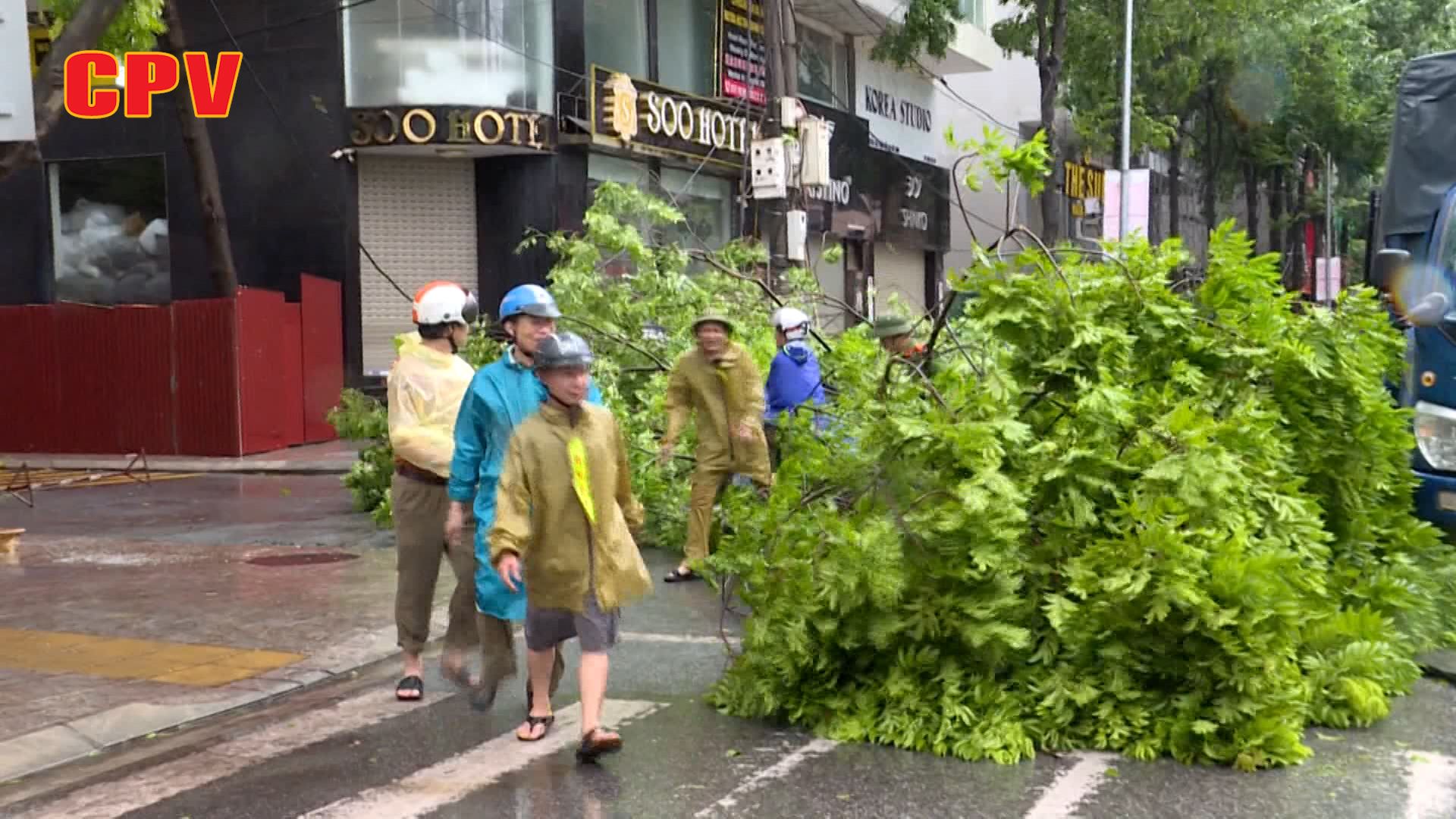 BẢN TIN THỜI SỰ NGÀY 8/9/2024