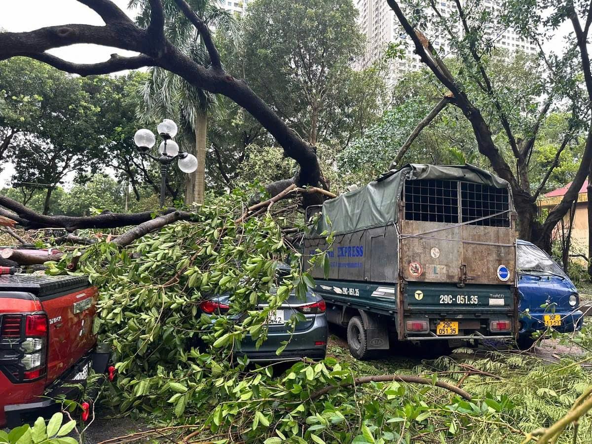 Hà Nội tập trung giải tỏa cây xanh gãy, đổ xong trước ngày 12/9/2024