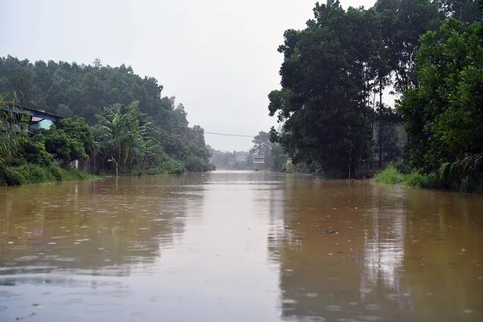 Thái Nguyên bác bỏ tin đồn "nguy cơ vỡ đê sông Cầu"