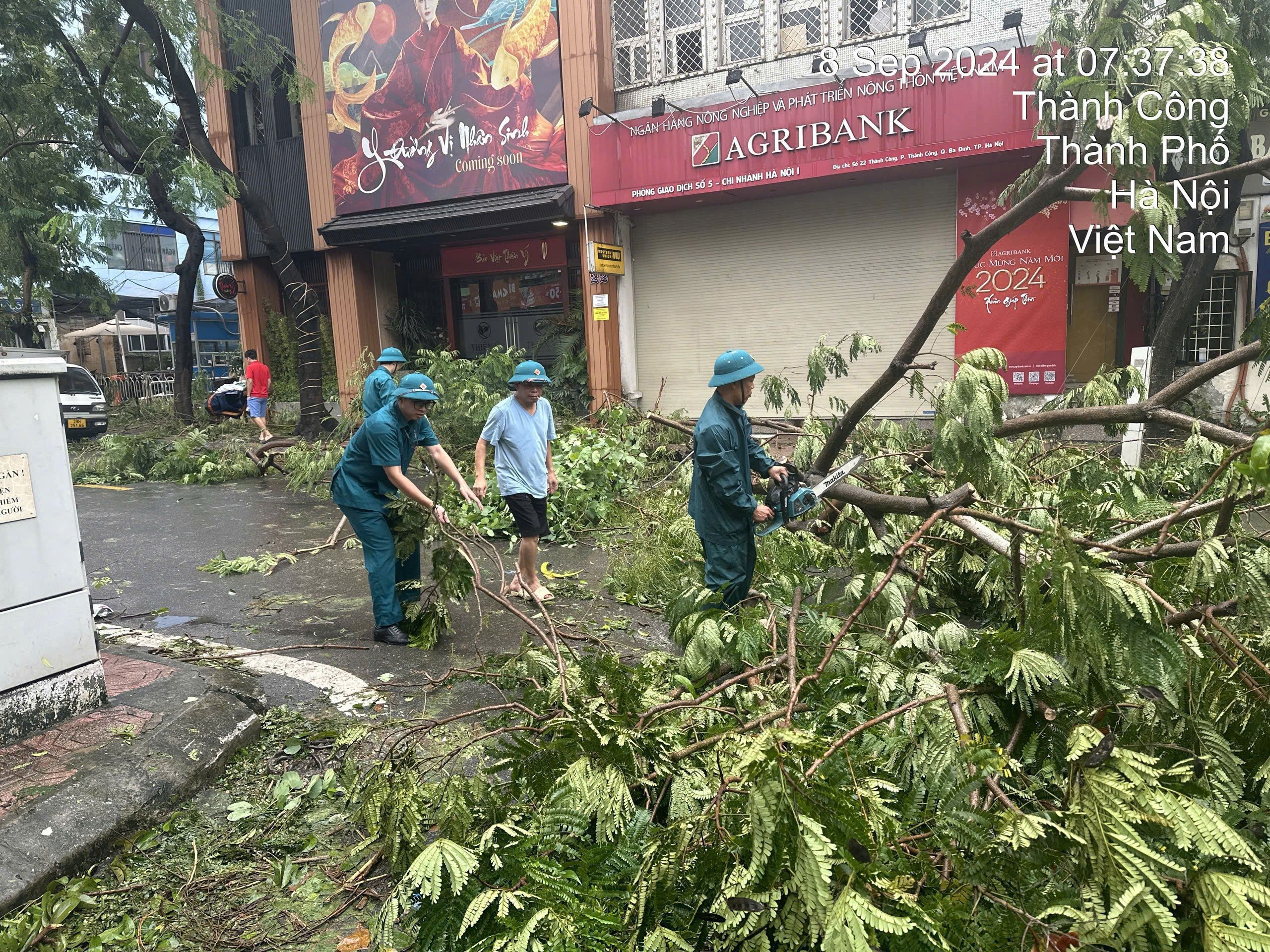 Hà Nội: Khẩn trương trồng lại cây xanh nghiêng, đổ, thu dọn vệ sinh môi trường