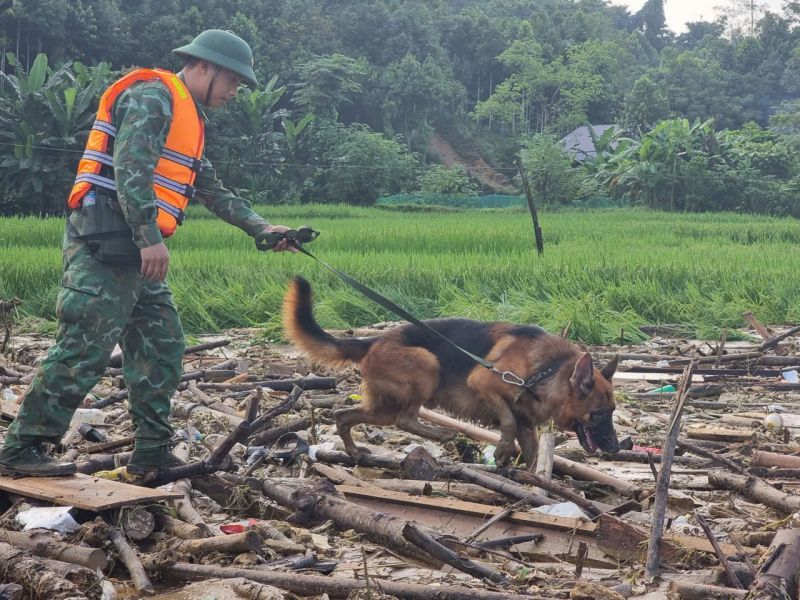 2 hộ với 8 người đã kịp chạy thoát trong vụ lũ quét Làng Nủ