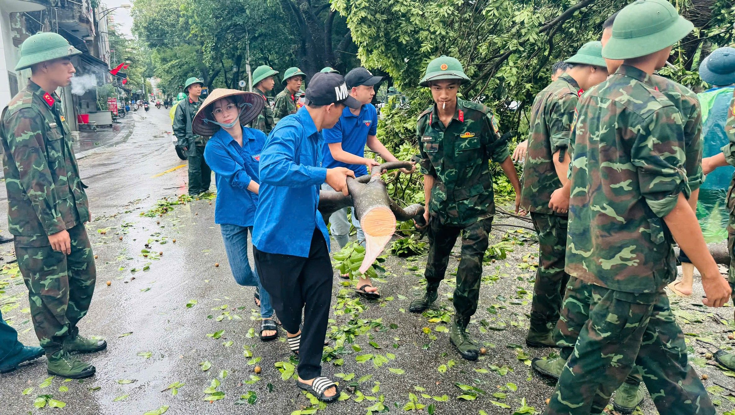 Hà Nội: Hoàn thành thu dọn cây xanh gãy, đổ ở các quận trước 20/9