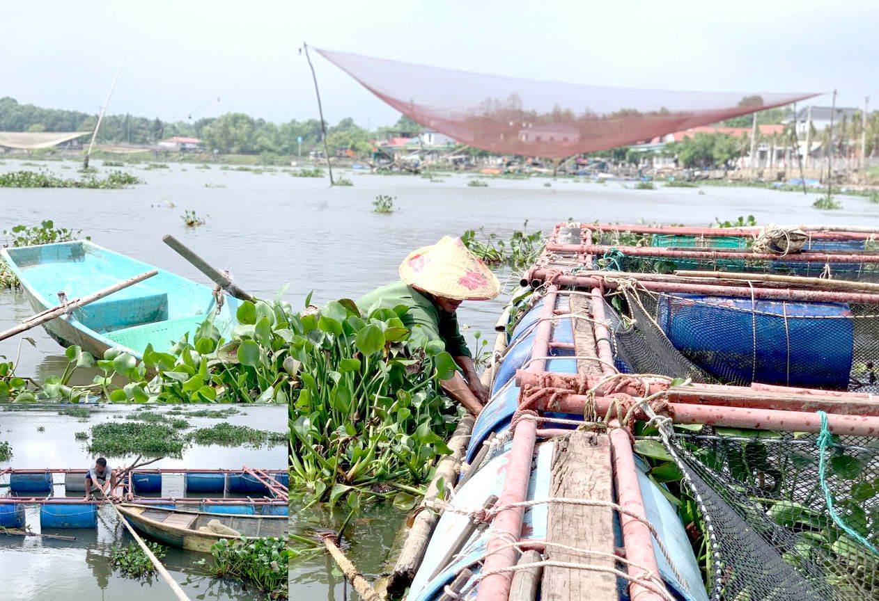 Hà Tĩnh: Người nuôi trồng thủy sản gia cố ao, lồng ứng phó mưa bão