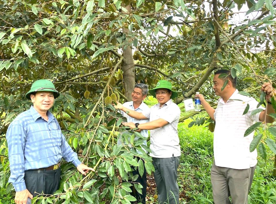 Tây Nguyên khẳng định là vùng đất có nhiều sản phẩm đặc thù của riêng mình