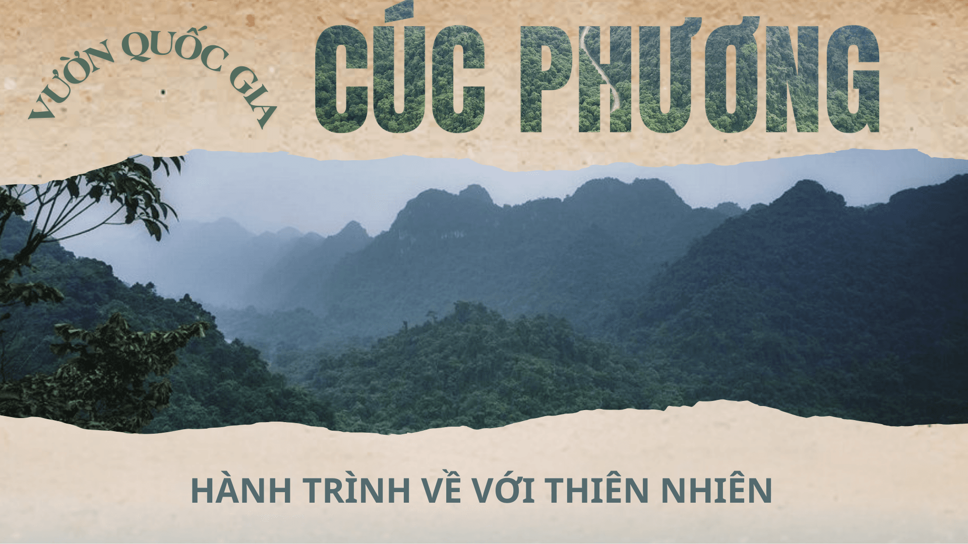 Vườn Quốc gia Cúc Phương: Hành trình về với thiên nhiên