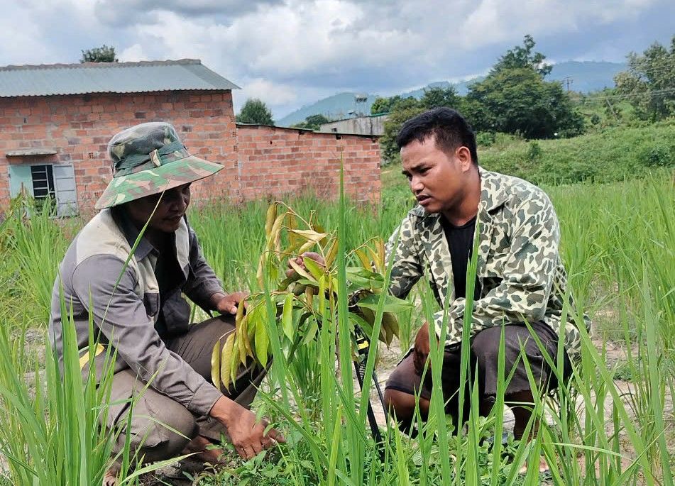 Gương sáng đảng viên nơi biên giới Mo Rai 