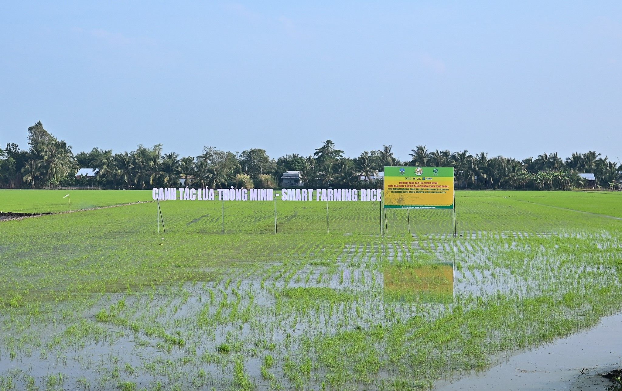 Giải pháp khoa học và công nghệ ứng phó với biến đổi khí hậu phục vụ phát triển bền vững Đồng bằng sông Cửu Long