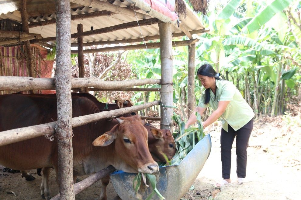 Lạng Sơn: Tập trung đẩy nhanh tiến độ, hoàn thành nhiệm vụ xây dựng nông thôn mới giai đoạn 2021-2025