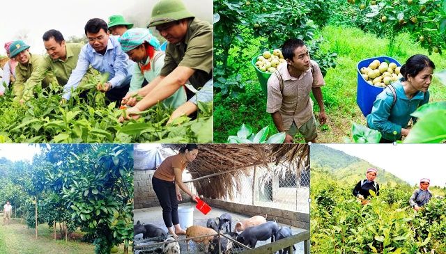 Sự vào cuộc của cả hệ thống chính trị trong xóa đói giảm nghèo ở Lào Cai