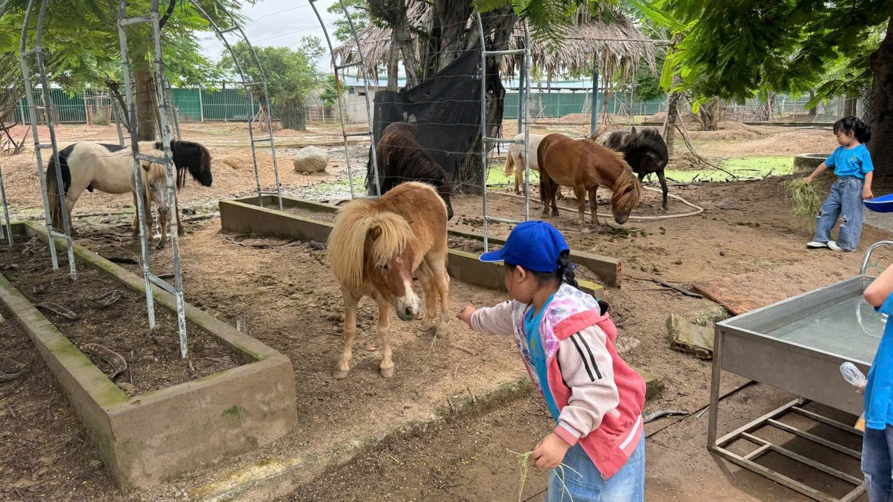 Long An: Phát triển mô hình du lịch trải nghiệm