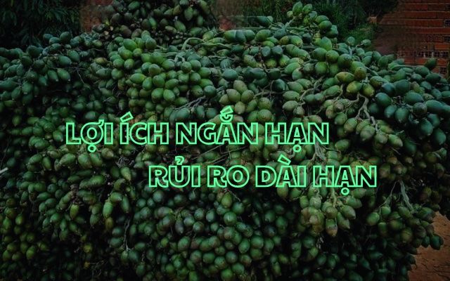 Lợi ích ngắn hạn, rủi ro dài hạn 