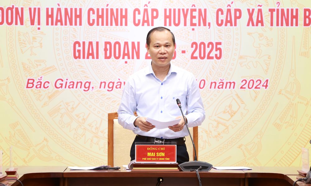 Triển khai Nghị quyết của Ủy ban Thường vụ Quốc hội về sắp xếp đơn vị hành chính cấp huyện, cấp xã của tỉnh Bắc Giang giai đoạn 2023-2025