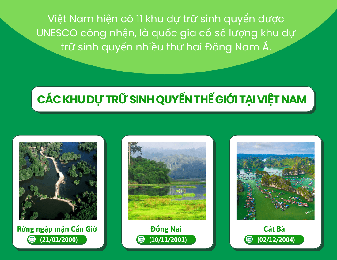 [Infographic]11 Khu dự trữ Sinh quyển Việt Nam: Nguồn sống và động lực phát triển bền vững 