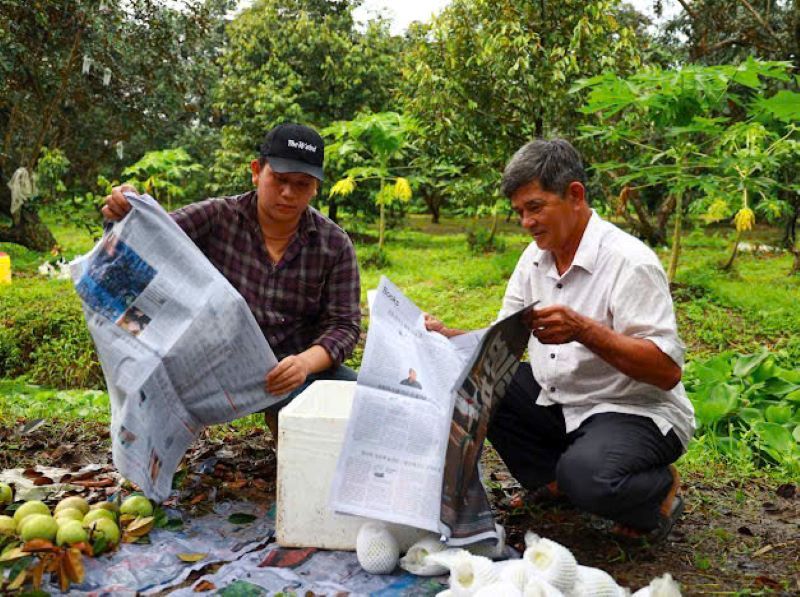 Áp thuế giá trị gia tăng mặt hàng phân bón cần đảm bảo lợi ích tối đa cho nông dân