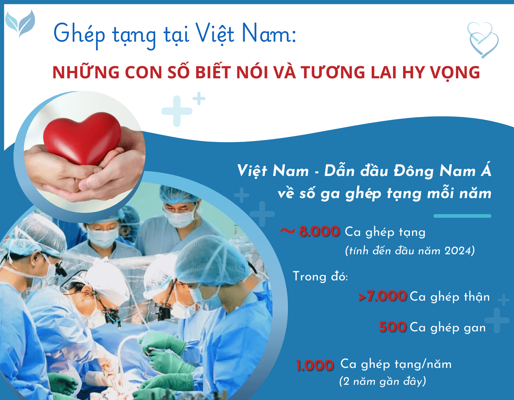 [Infographic] Ghép tạng tại Việt Nam: Những con số biết nói và tương lai hy vọng